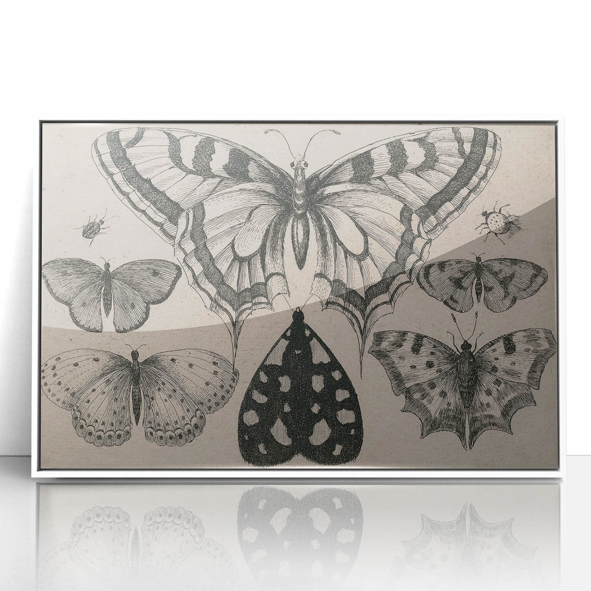 Gothic Artworks - Vintage Insect Illustration on Medieval Gothic Canvas