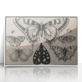 Gothic Artworks - Vintage Insect Illustration on Medieval Gothic Canvas