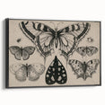 Gothic Artworks - Vintage Insect Illustration on Medieval Gothic Canvas