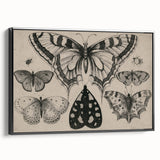 Gothic Artworks - Vintage Insect Illustration on Medieval Gothic Canvas