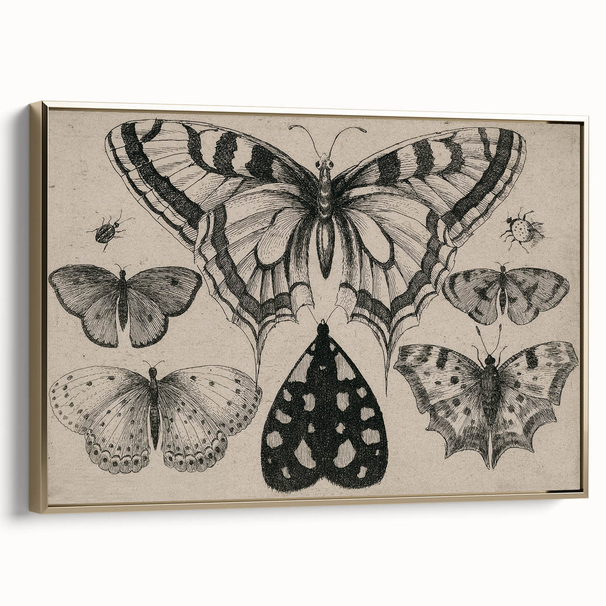Gothic Artworks - Vintage Insect Illustration on Medieval Gothic Canvas