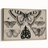 Gothic Artworks - Vintage Insect Illustration on Medieval Gothic Canvas