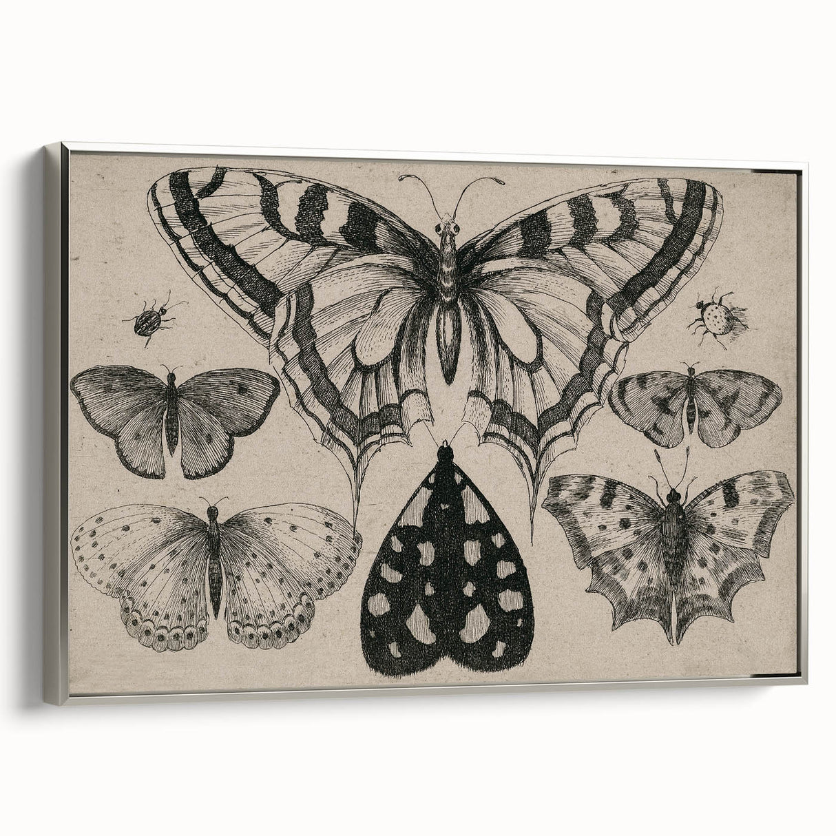 Gothic Artworks - Vintage Insect Illustration on Medieval Gothic Canvas