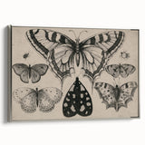 Gothic Artworks - Vintage Insect Illustration on Medieval Gothic Canvas