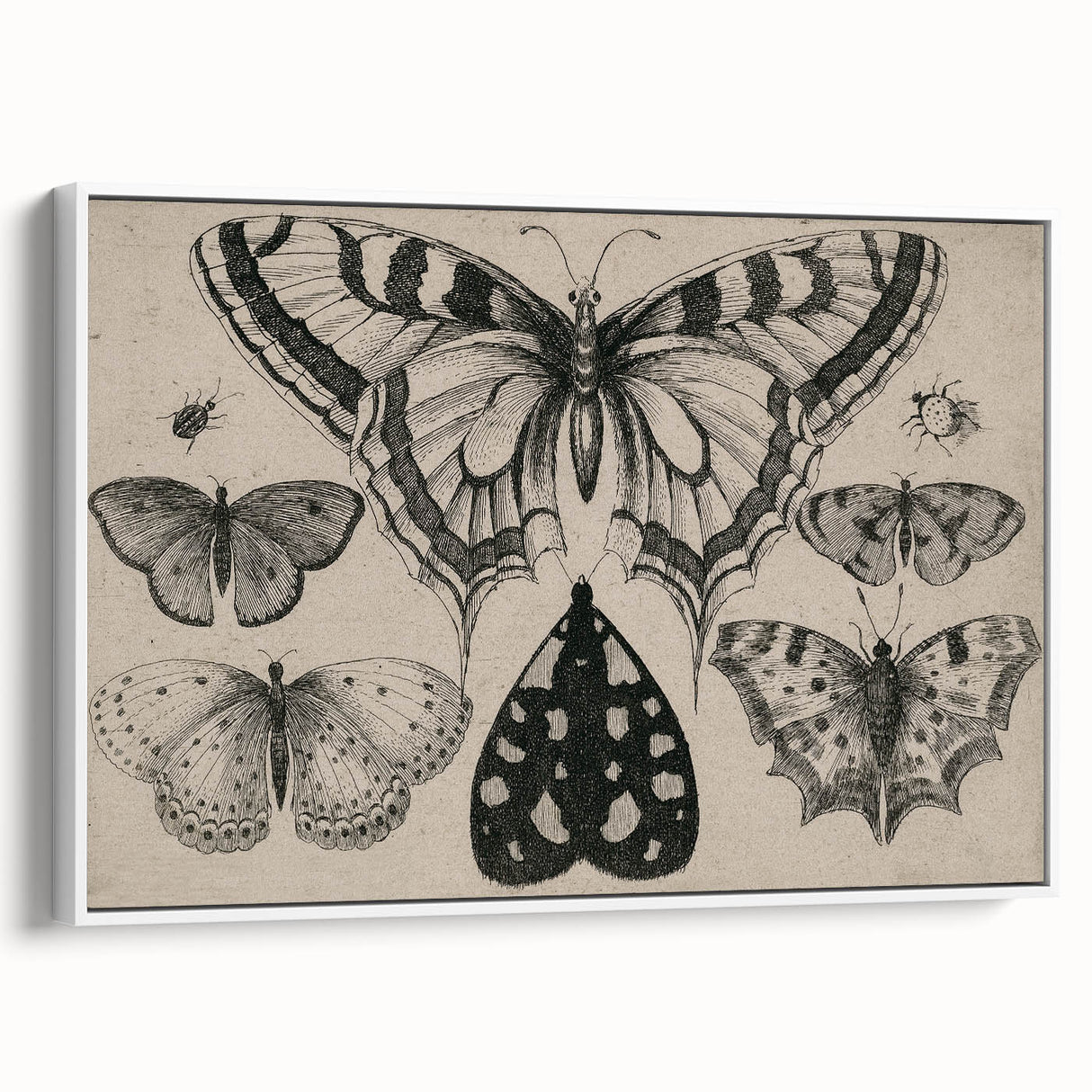 Gothic Artworks - Vintage Insect Illustration on Medieval Gothic Canvas