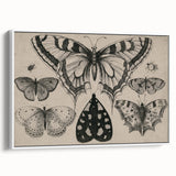 Gothic Artworks - Vintage Insect Illustration on Medieval Gothic Canvas
