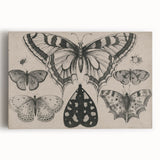 Gothic Artworks - Vintage Insect Illustration on Medieval Gothic Canvas
