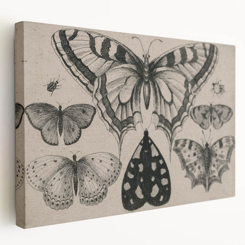 Gothic Artworks - Vintage Insect Illustration on Medieval Gothic Canvas
