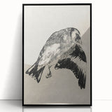 Gothic Bird Illustration – Dark and Elegant Gothic Wall Art Canvas Print
