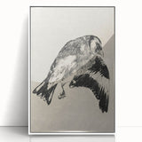 Gothic Bird Illustration – Dark and Elegant Gothic Wall Art Canvas Print