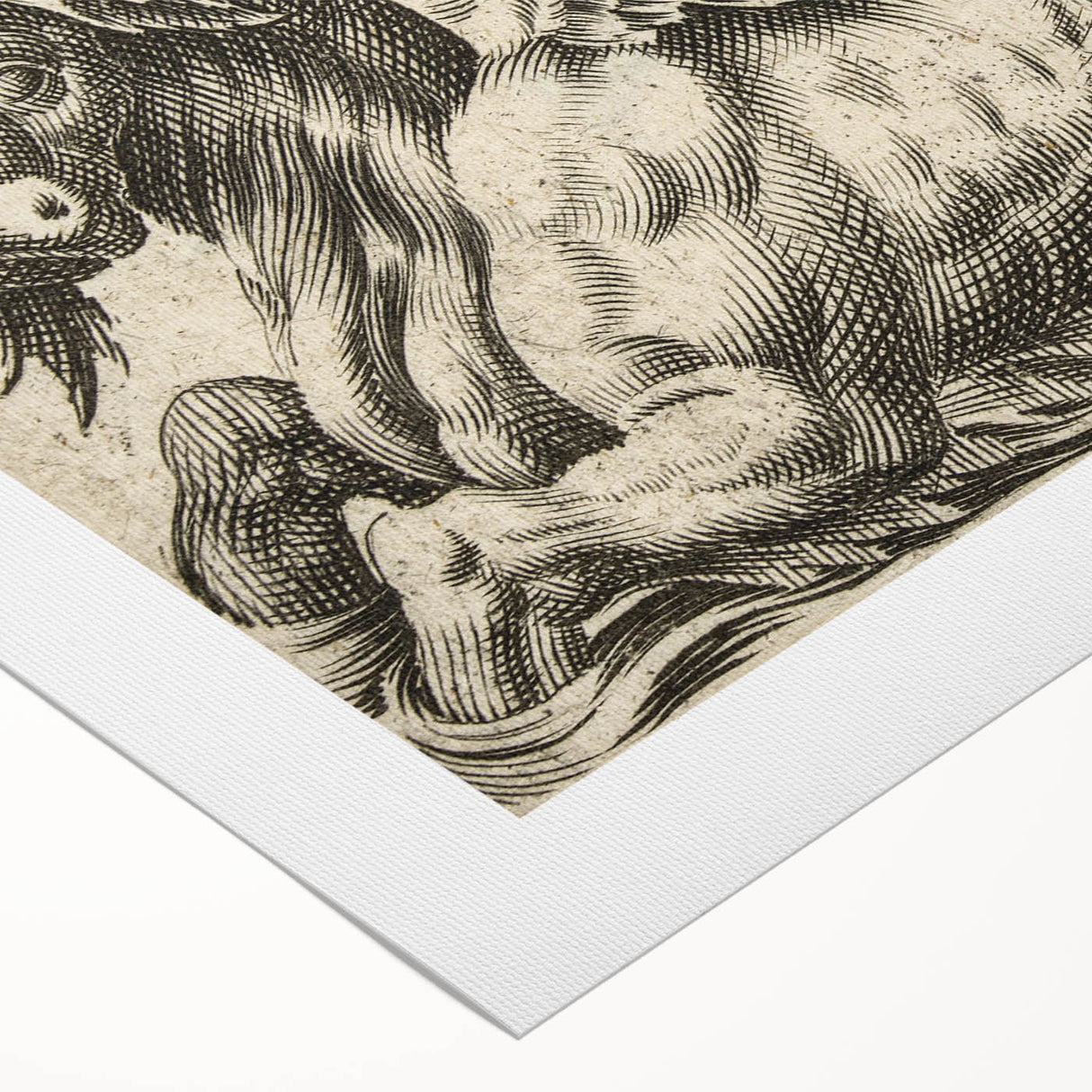 Medieval Gothic Canvas - Vintage Mythical Beast Illustration Wall Art