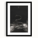 Gothic Wall Art - Dark Medieval Gothic Prints - Mysterious Serpent Design