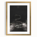 Gothic Wall Art - Dark Medieval Gothic Prints - Mysterious Serpent Design