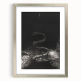 Gothic Wall Art - Dark Medieval Gothic Prints - Mysterious Serpent Design