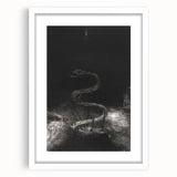 Gothic Wall Art - Dark Medieval Gothic Prints - Mysterious Serpent Design