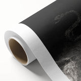 Gothic Wall Art - Dark Medieval Gothic Prints - Mysterious Serpent Design