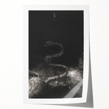 Gothic Wall Art - Dark Medieval Gothic Prints - Mysterious Serpent Design