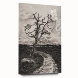 Medieval Gothic Canvas - Mysterious Path Dark Decor Style Art