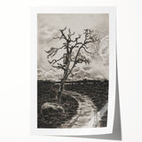 Medieval Gothic Canvas - Mysterious Path Dark Decor Style Art