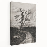 Medieval Gothic Canvas - Mysterious Path Dark Decor Style Art