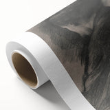 Gothic Wall Art - Mysterious Shadowy Portrait Dark Decor Style