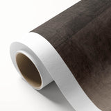 Gothic Artworks - Contemplative Figure with Skull for Dark Decor Style