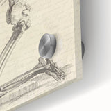 Gothic Wall Art | Medieval Gothic Canvas with Skeleton Illustration