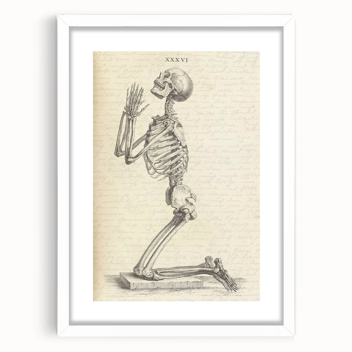 Gothic Wall Art | Medieval Gothic Canvas with Skeleton Illustration