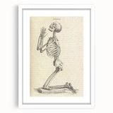 Gothic Wall Art | Medieval Gothic Canvas with Skeleton Illustration