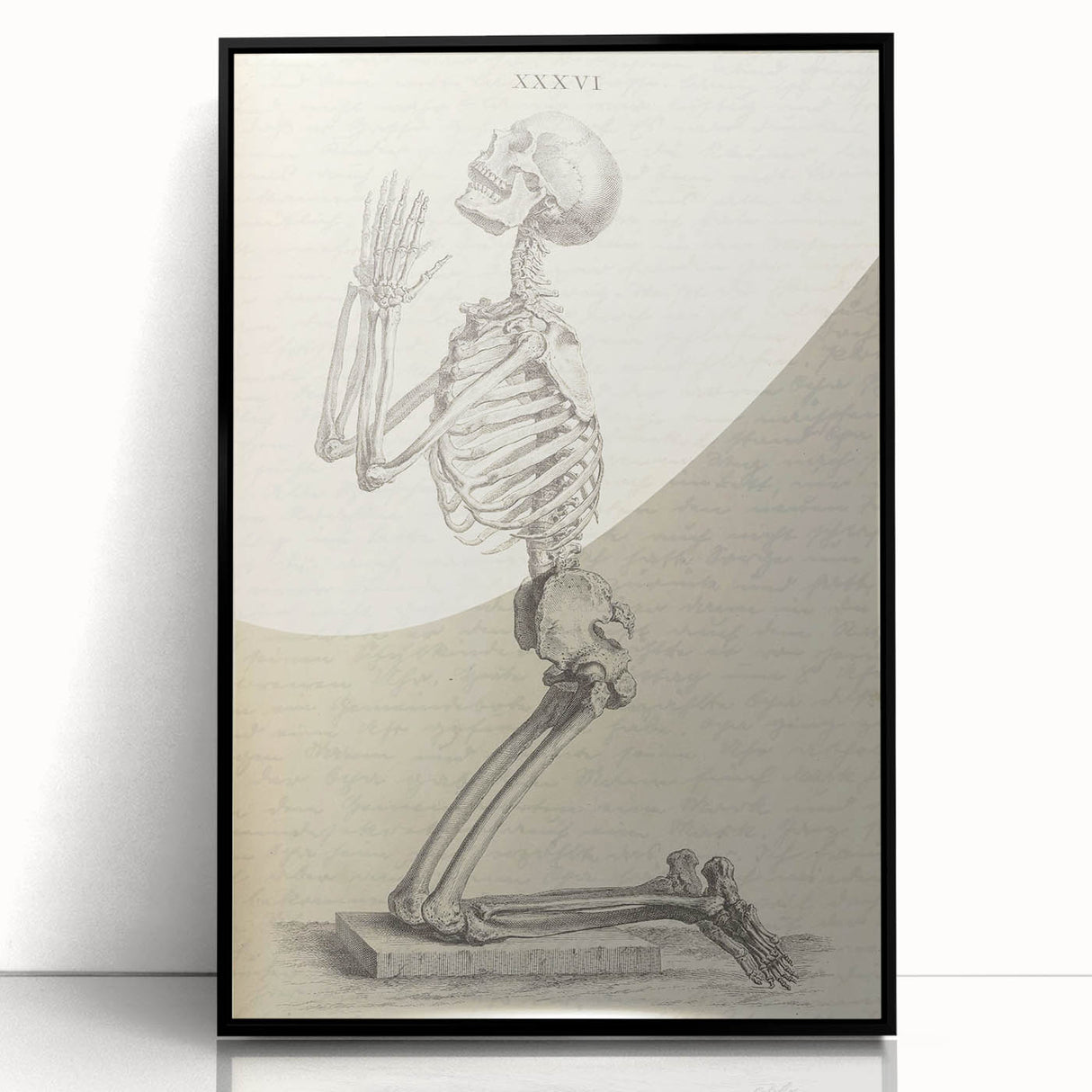 Gothic Wall Art | Medieval Gothic Canvas with Skeleton Illustration