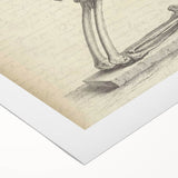 Gothic Wall Art | Medieval Gothic Canvas with Skeleton Illustration