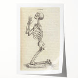 Gothic Wall Art | Medieval Gothic Canvas with Skeleton Illustration