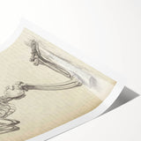 Gothic Wall Art | Medieval Gothic Canvas with Skeleton Illustration