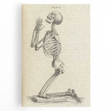 Gothic Wall Art | Medieval Gothic Canvas with Skeleton Illustration