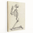 Gothic Wall Art | Medieval Gothic Canvas with Skeleton Illustration