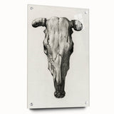 Gothic Artworks - Vintage Skull Illustration Medieval Gothic Canvas Print