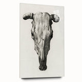 Gothic Artworks - Vintage Skull Illustration Medieval Gothic Canvas Print