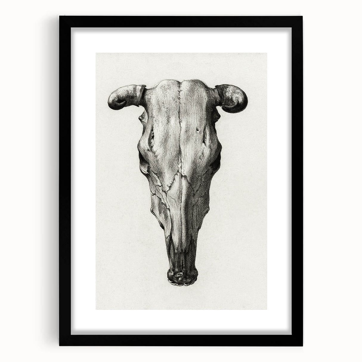 Gothic Artworks - Vintage Skull Illustration Medieval Gothic Canvas Print