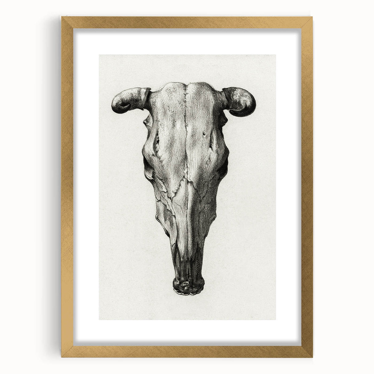 Gothic Artworks - Vintage Skull Illustration Medieval Gothic Canvas Print