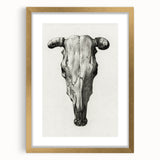 Gothic Artworks - Vintage Skull Illustration Medieval Gothic Canvas Print