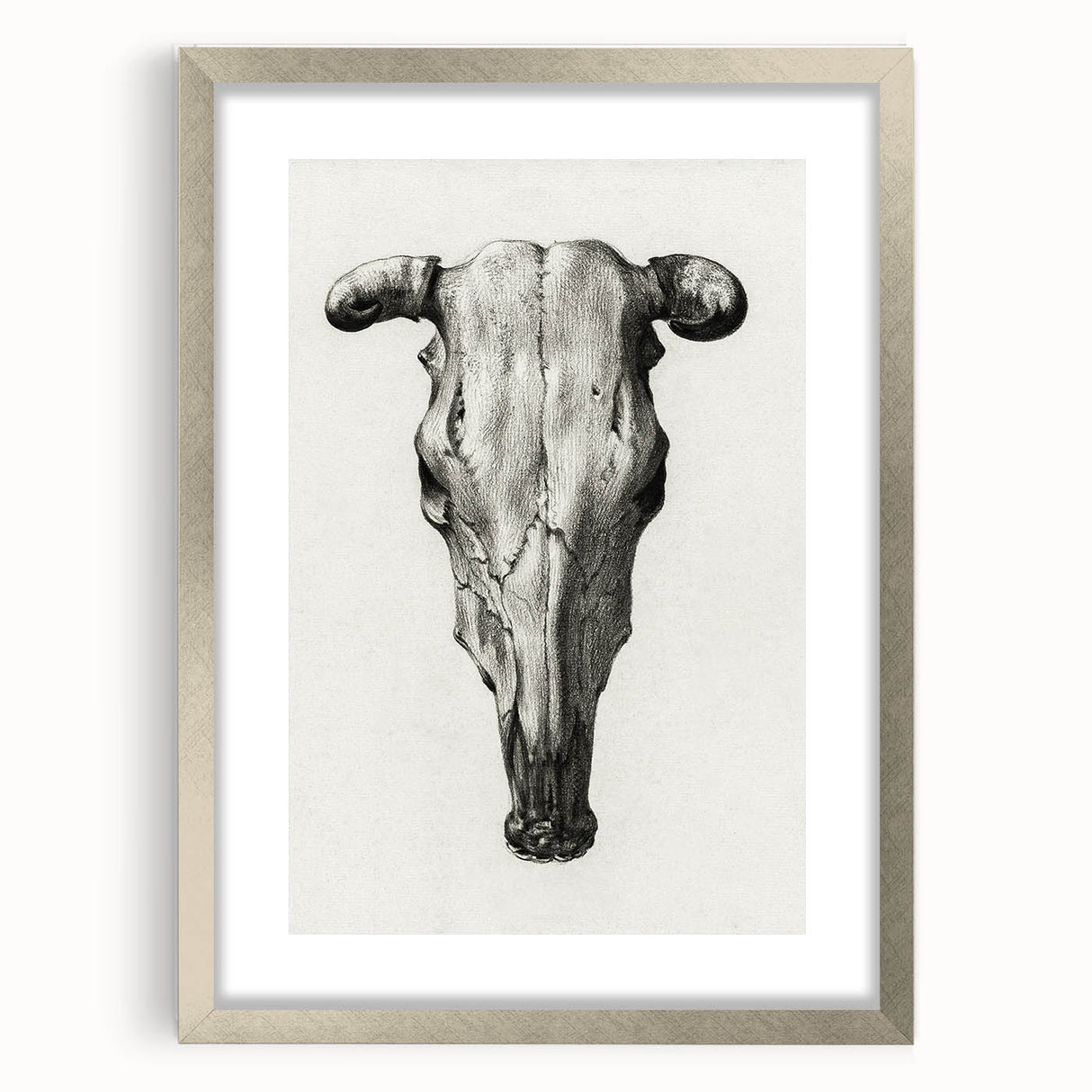 Gothic Artworks - Vintage Skull Illustration Medieval Gothic Canvas Print
