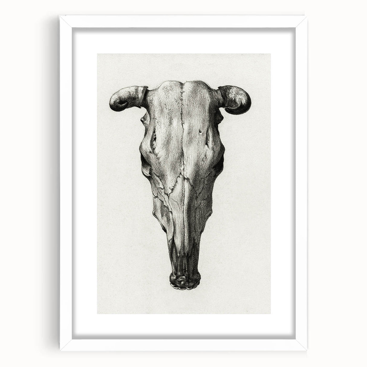 Gothic Artworks - Vintage Skull Illustration Medieval Gothic Canvas Print