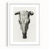 Gothic Artworks - Vintage Skull Illustration Medieval Gothic Canvas Print