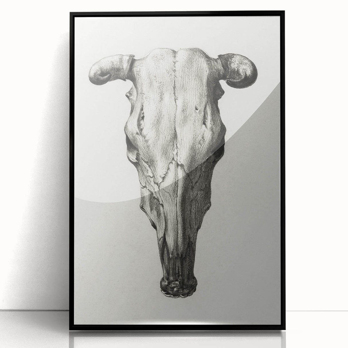 Gothic Artworks - Vintage Skull Illustration Medieval Gothic Canvas Print