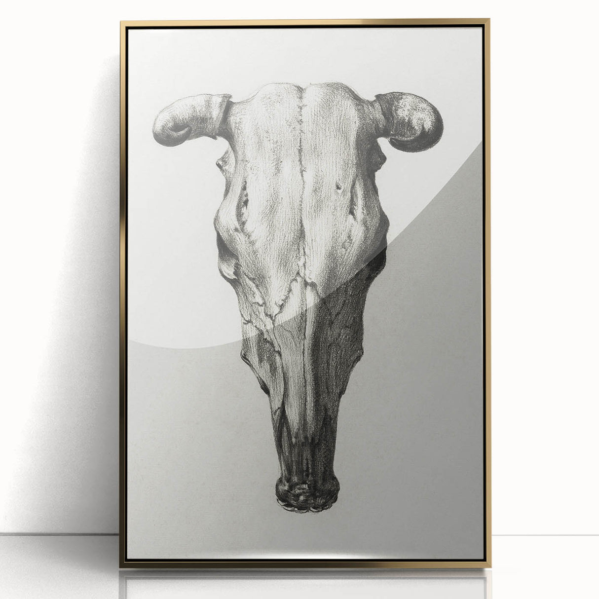 Gothic Artworks - Vintage Skull Illustration Medieval Gothic Canvas Print