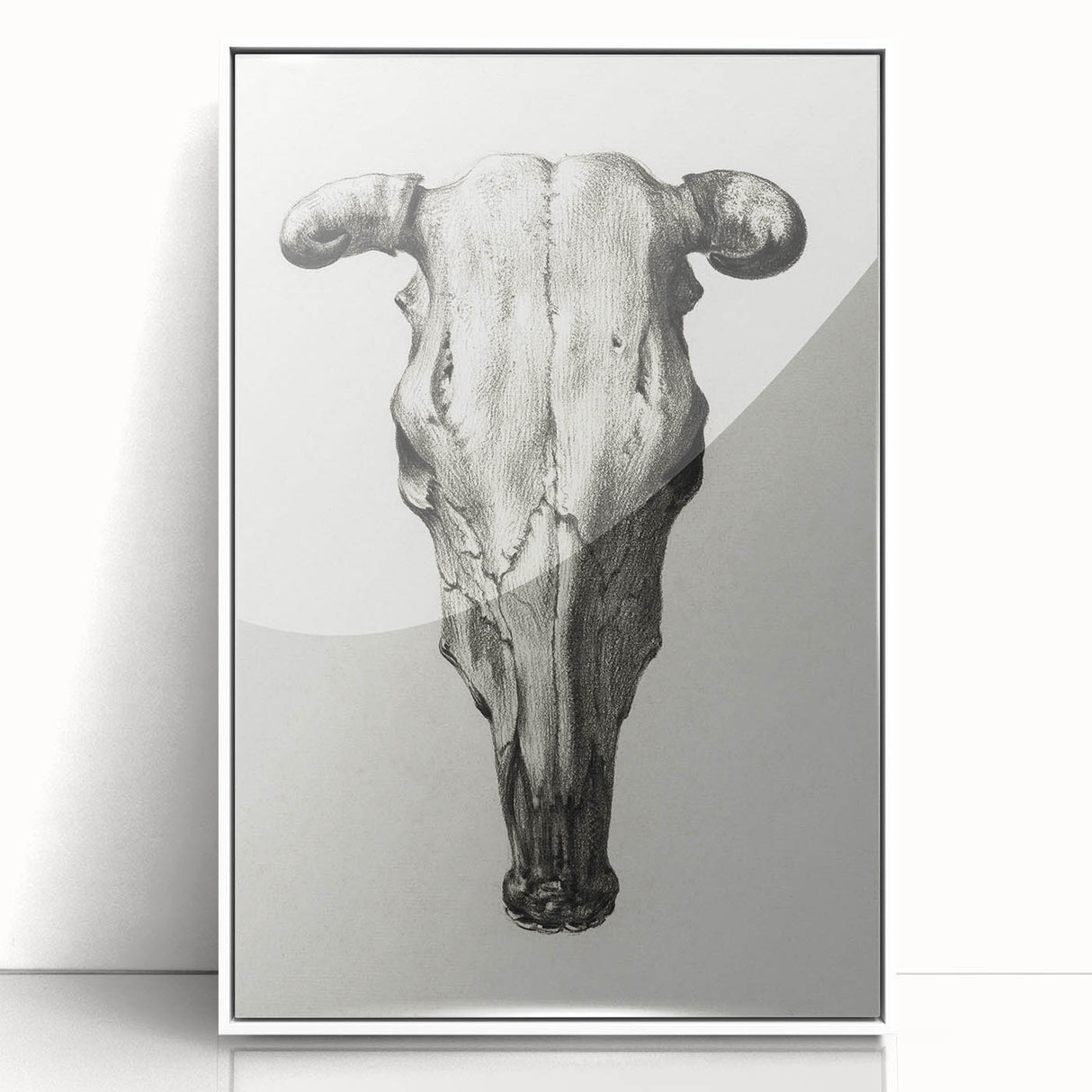 Gothic Artworks - Vintage Skull Illustration Medieval Gothic Canvas Print
