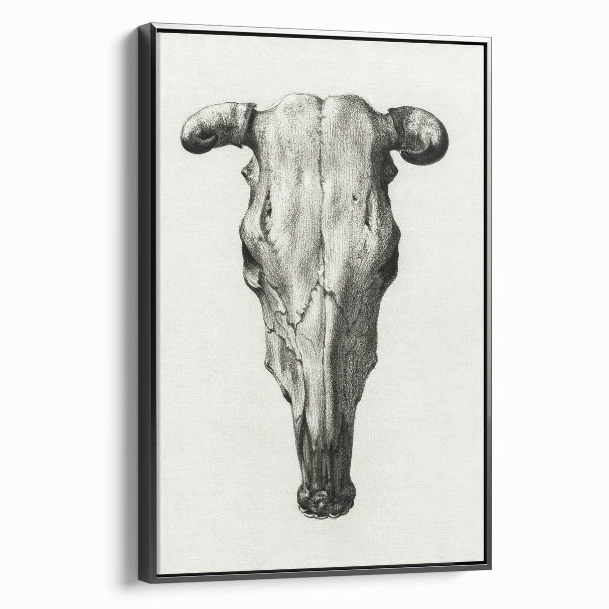 Gothic Artworks - Vintage Skull Illustration Medieval Gothic Canvas Print