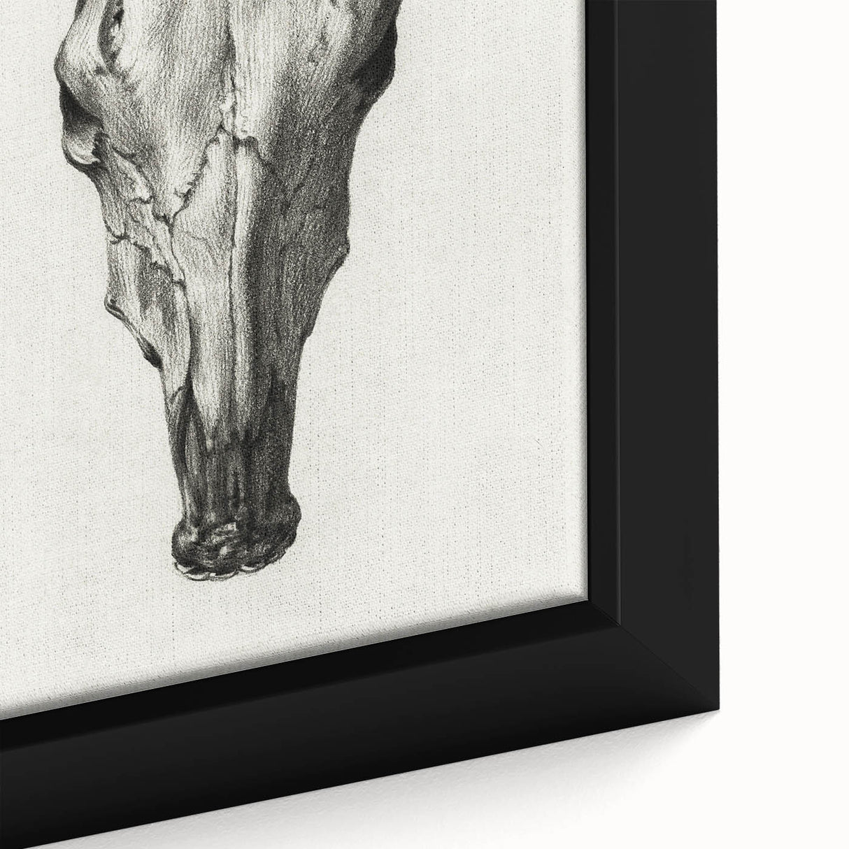 Gothic Artworks - Vintage Skull Illustration Medieval Gothic Canvas Print
