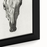 Gothic Artworks - Vintage Skull Illustration Medieval Gothic Canvas Print