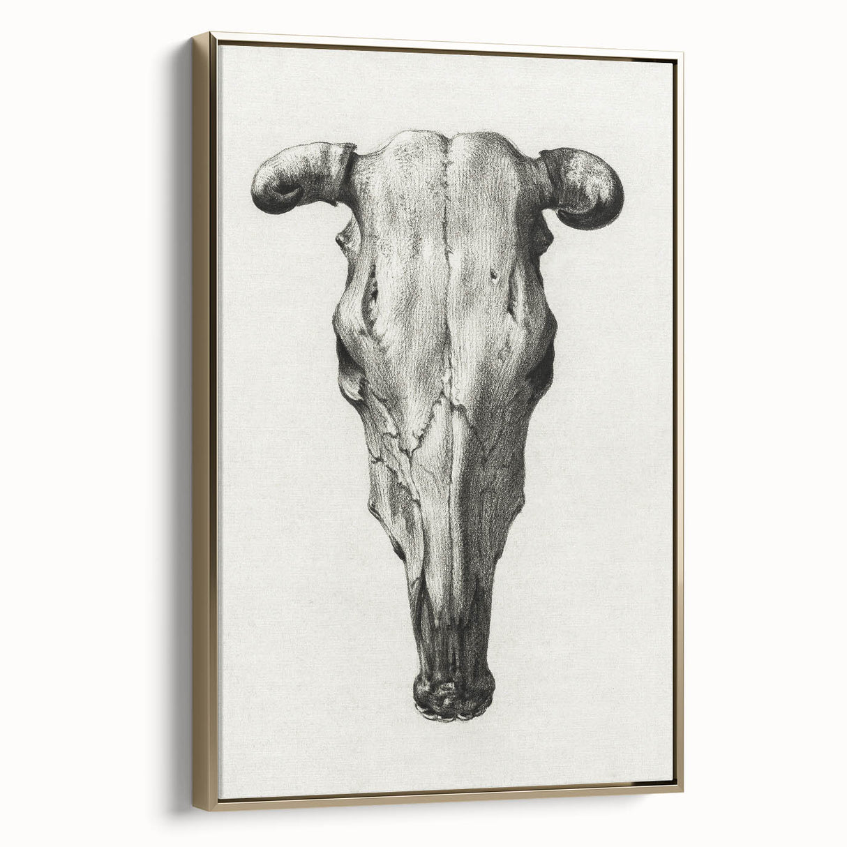 Gothic Artworks - Vintage Skull Illustration Medieval Gothic Canvas Print